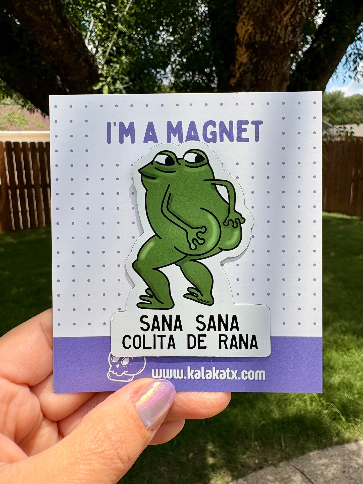 Sana Sana Colita de Rana| Decorative MAGNET
